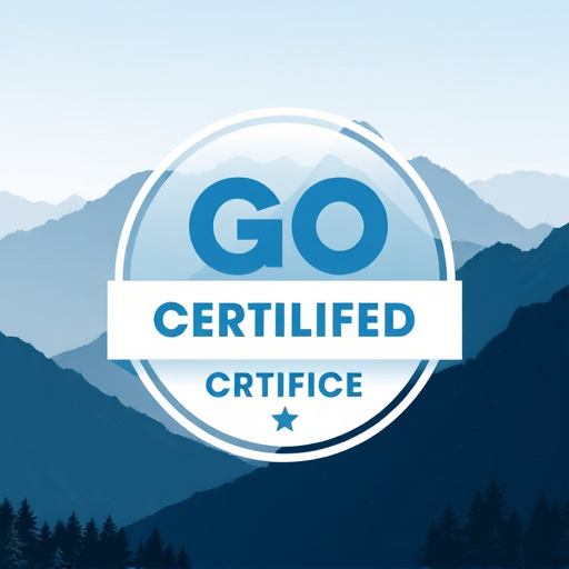 gohighlevel certified agency