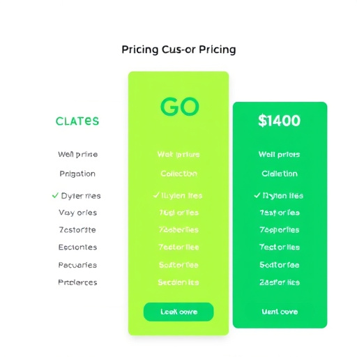 gohighlevel custom development pricing