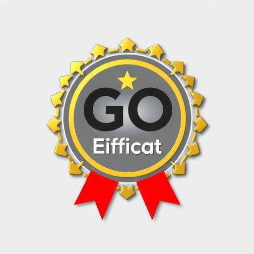 gohighlevel expert certification price