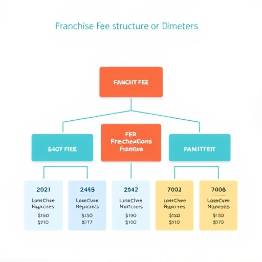 gohighlevel franchise fee structure