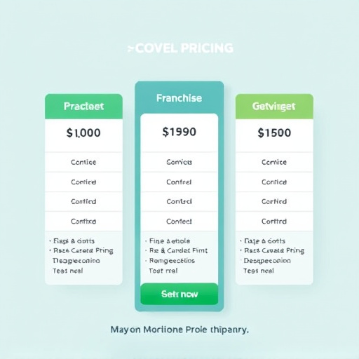 gohighlevel franchise pricing cost