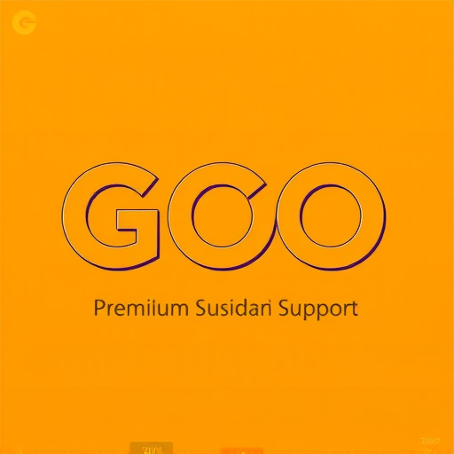 gohighlevel premium support price