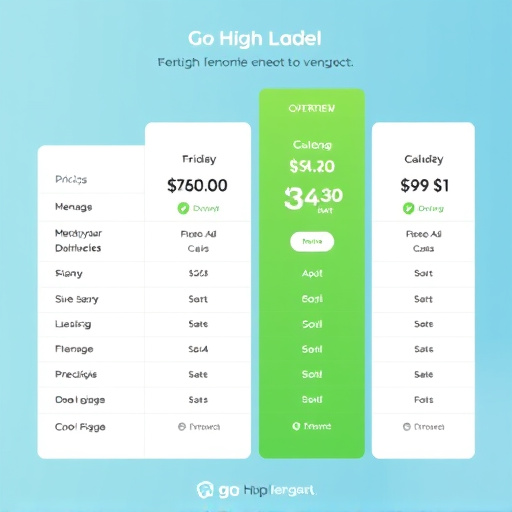 gohighlevel pricing overview