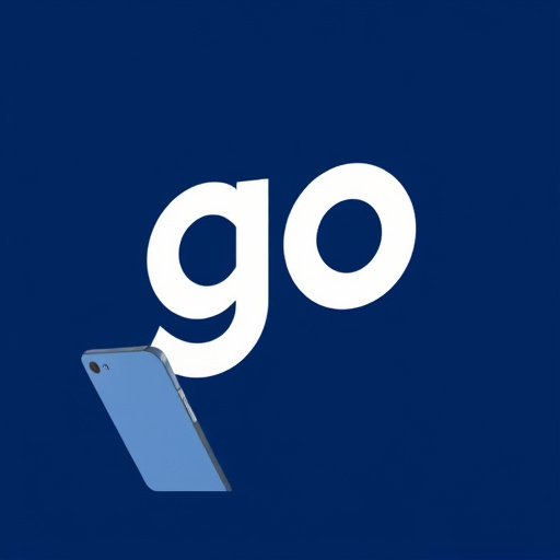 gohighlevel support services