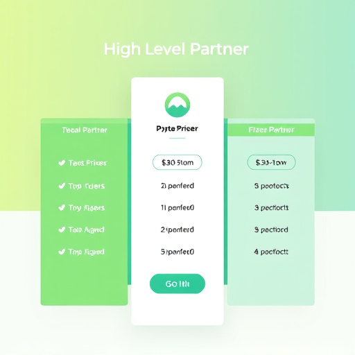 highlevel partner pricing