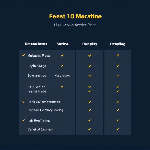 highlevel service plans