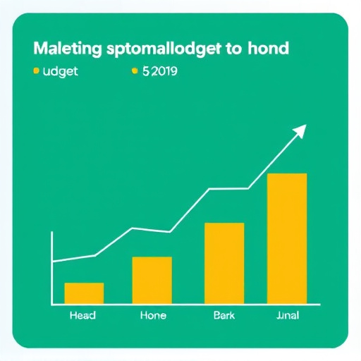 marketing automation budget
