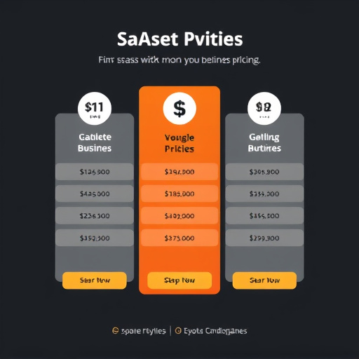 saas business pricing