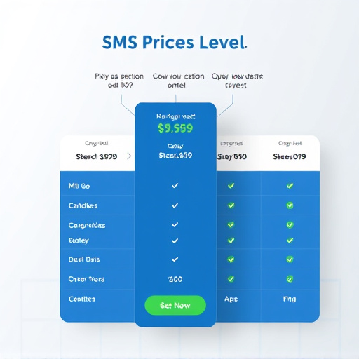 sms pricing model highlevel