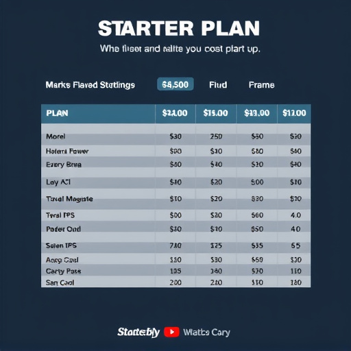 starter plan cost