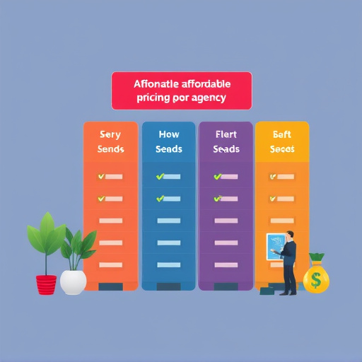 agency affordable pricing