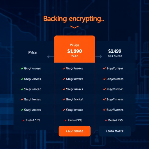 backup encryption pricing