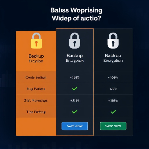 backup encryption pricing