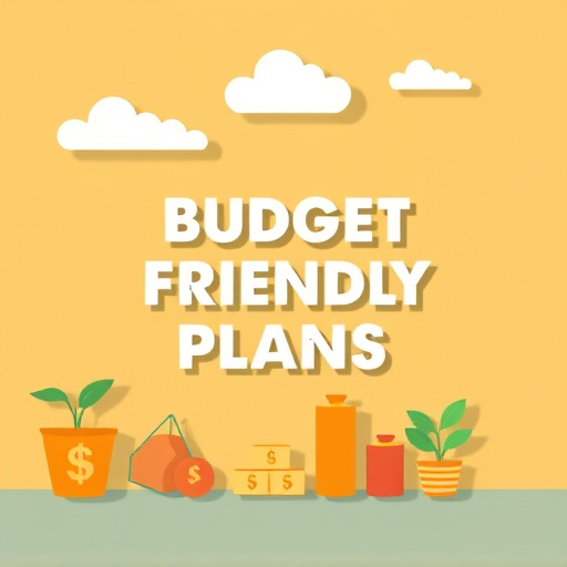 budget friendly gohighlevel plan