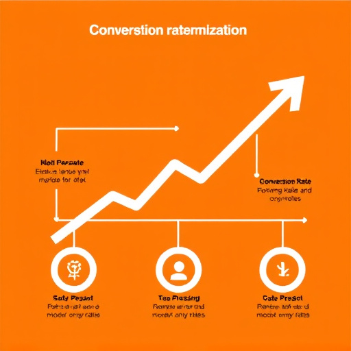 conversion rate optimization process