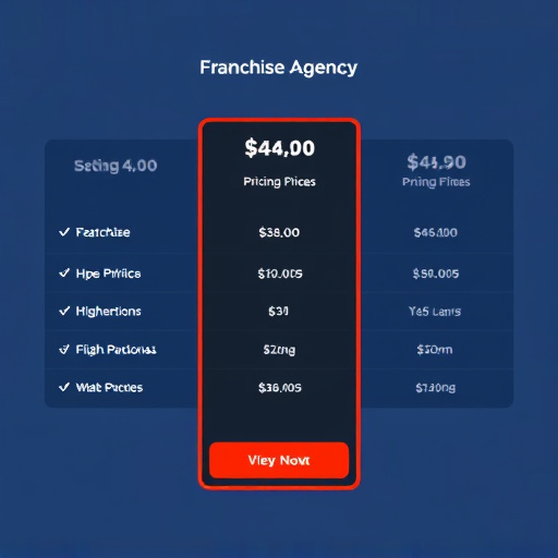 franchise agency pricing gohighlevel