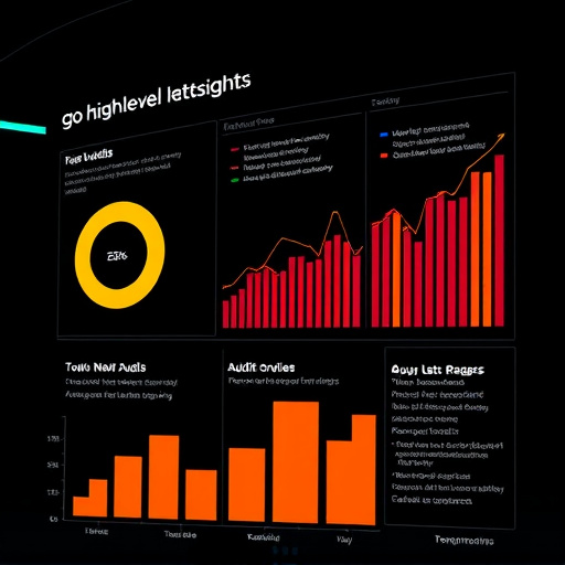 gohighlevel audit insights