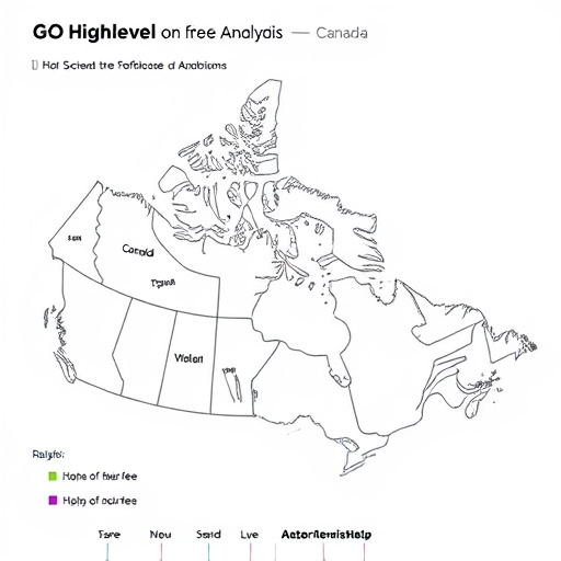 gohighlevel fee analysis canada