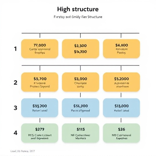 gohighlevel fee structure