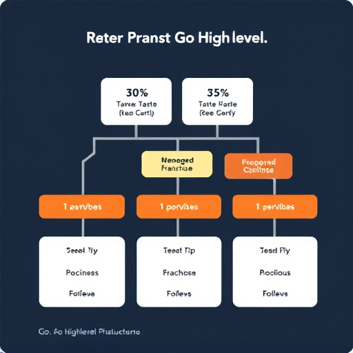 gohighlevel franchise fee structure
