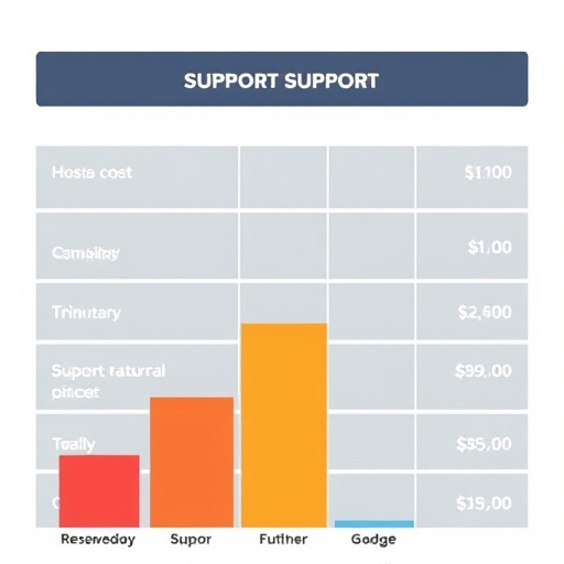 gohighlevel support cost analysis