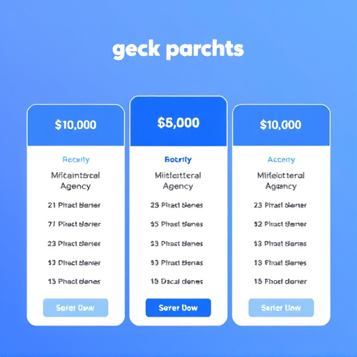 highlevel agency starter pricing