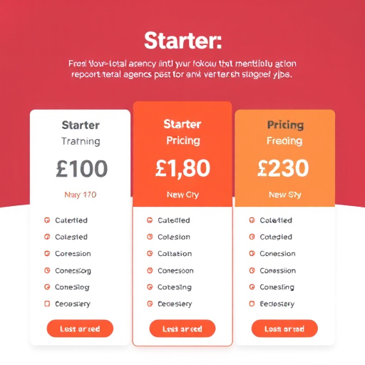 highlevel agency starter pricing