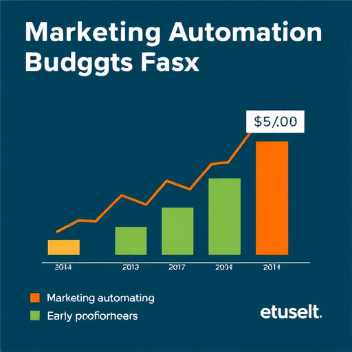 marketing automation budget