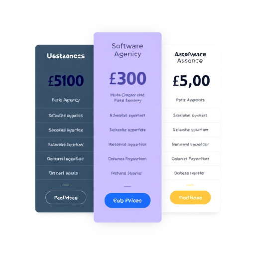 software agency pricing