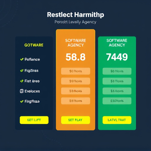software agency pricing