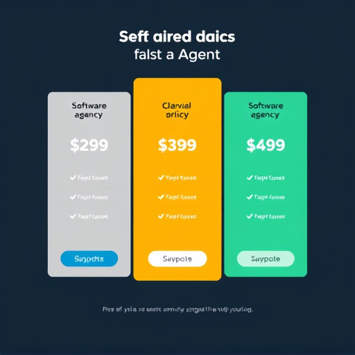software agency pricing