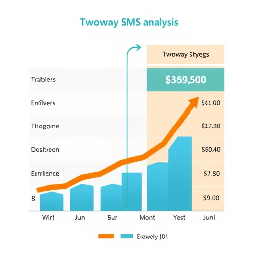 twoway sms cost analysis