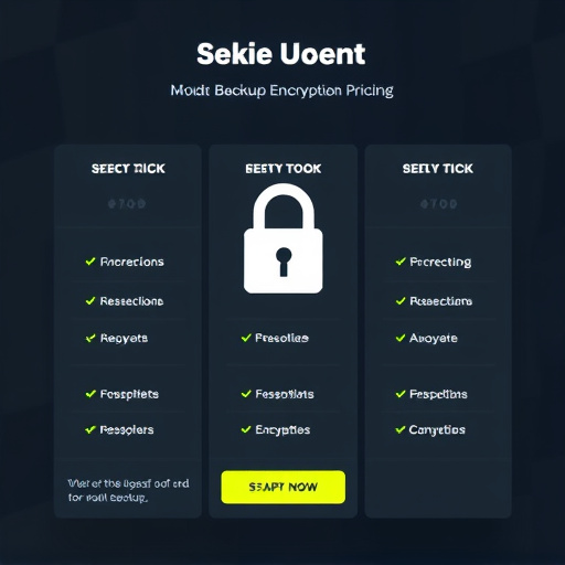 backup encryption pricing
