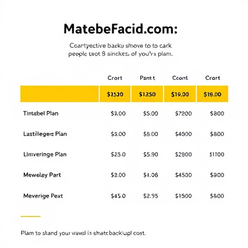 backup plan cost
