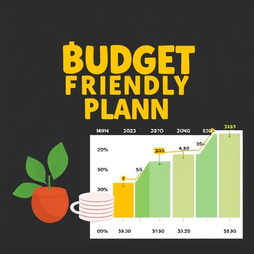 budget friendly gohighlevel plan