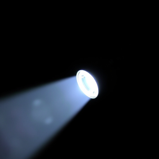 flashlight