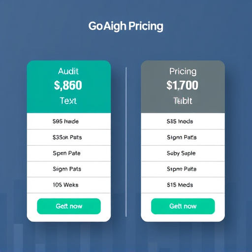 gohighlevel audit pricing