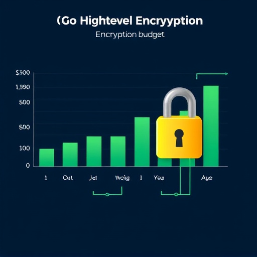 gohighlevel encryption budget