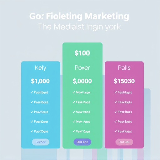 gohighlevel marketing segmentation pricing
