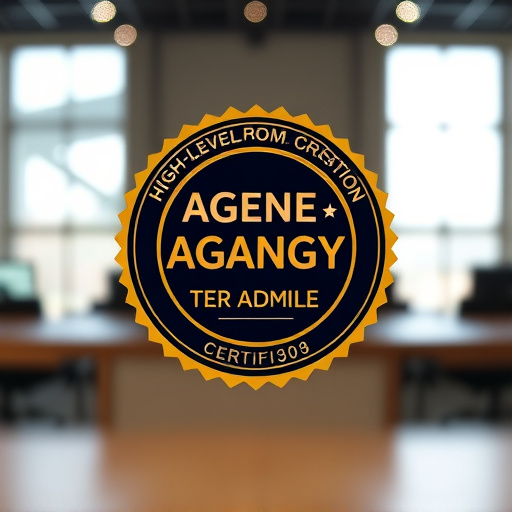 highlevel agency certification