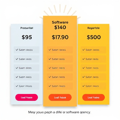software agency pricing