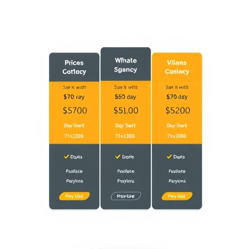 software agency pricing