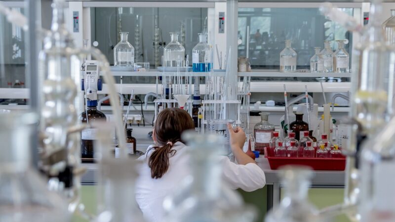 SEO Solutions Technical Audits: Building Brands and Managing Reputation