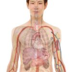 g41bf5e5a8d9664640f523d53075134bfdaf856a02c44043565068c9fbb05a0c4c7c48750dd9736eb954e425eef7e493e3d819e952977edf7a1588e58b156ec3c_1280