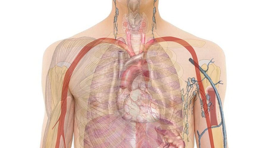 g41bf5e5a8d9664640f523d53075134bfdaf856a02c44043565068c9fbb05a0c4c7c48750dd9736eb954e425eef7e493e3d819e952977edf7a1588e58b156ec3c_1280