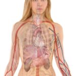 g56bec45937632c2aeb26edd4f1f3f082871a8fc64afbce69f682b558be7c56172ac8bb250f39841146ebd244f4f775f1a155056775acbbe21316a3cf54859b3e_1280