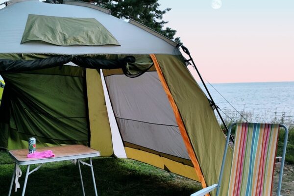 g83289a6d62c4503d8d0ebb6dbd7a2f010bfccb18f5975b47598e2ddc55ea069768b28681c1dd6fc18a500b2cc881c60f796d8e63def35b8340dedb10386fe583_1280