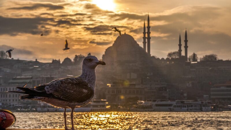 ga2bdf6deee747bb3e28be9fe508f267c5cf5387afa41e10678c83c39f01c18b7d0ef249a0f7584a122a8a5163fd8b1e6b628718c7aea7c3073e196629ec477ec_1280