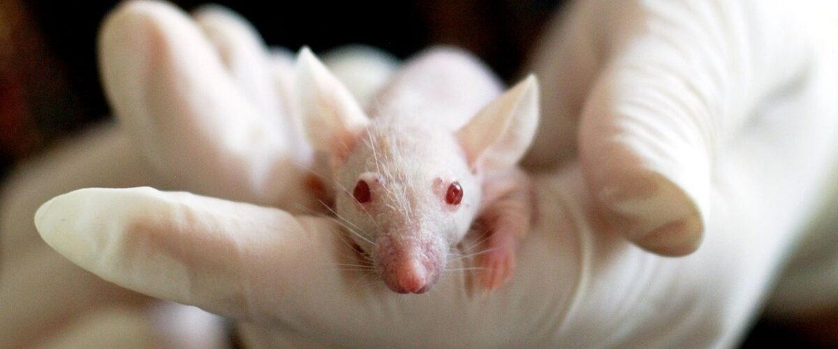 ge3124435a3621d8bc26a714b097286e18d586e5b5acc81e99b0f784fc8eb79c700930b8a43ecb286002a3b69b2d1e5b4c2da4fc17f0b19590739b66d4e33a771_1280